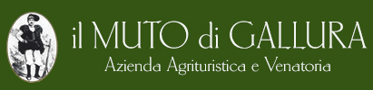 Stazzi e Cussògghj 2015 – IV Edizione