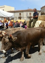 La Nuova Sardegna – 11 Aprile 2015﻿